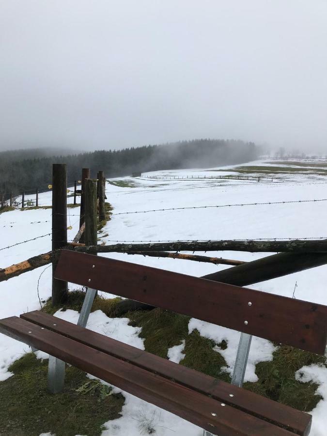 فيلا Ferienhaus Schneeweiss وينتربرغ المظهر الخارجي الصورة