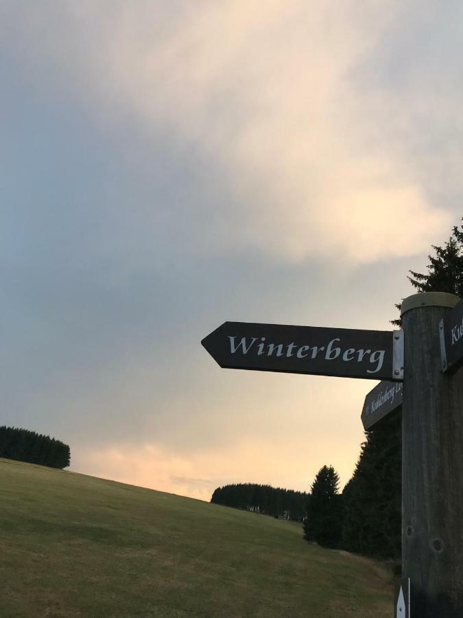 Ferienhaus Schneeweiss وينتربرغ المظهر الخارجي الصورة