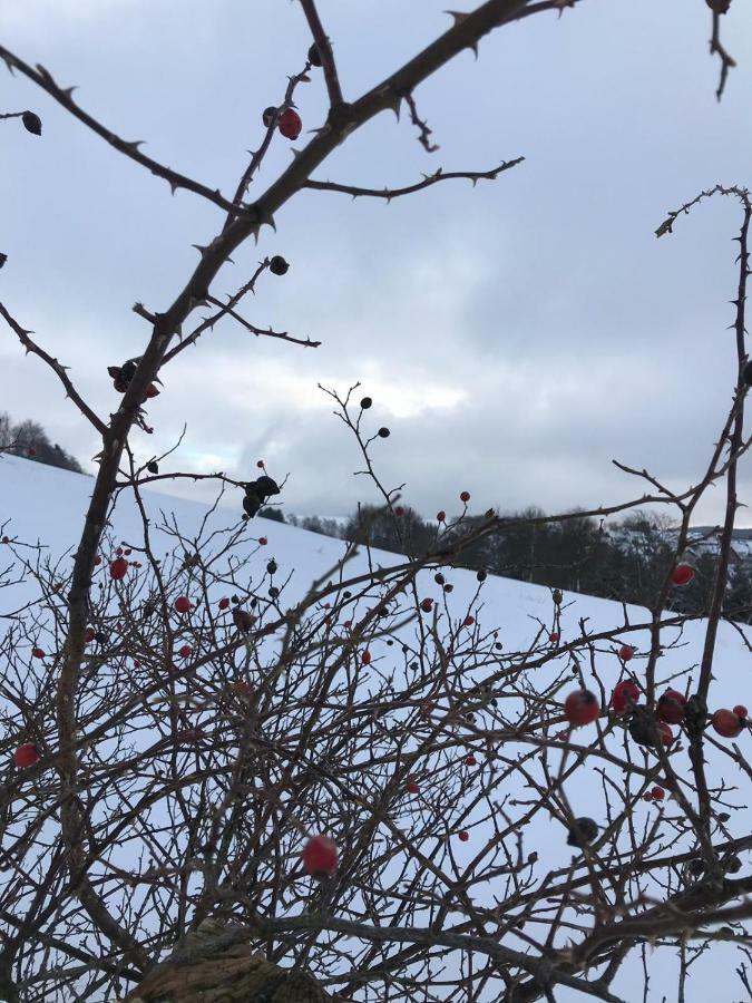 فيلا Ferienhaus Schneeweiss وينتربرغ المظهر الخارجي الصورة