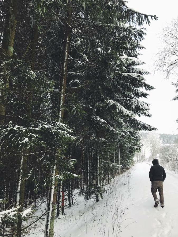 فيلا Ferienhaus Schneeweiss وينتربرغ المظهر الخارجي الصورة